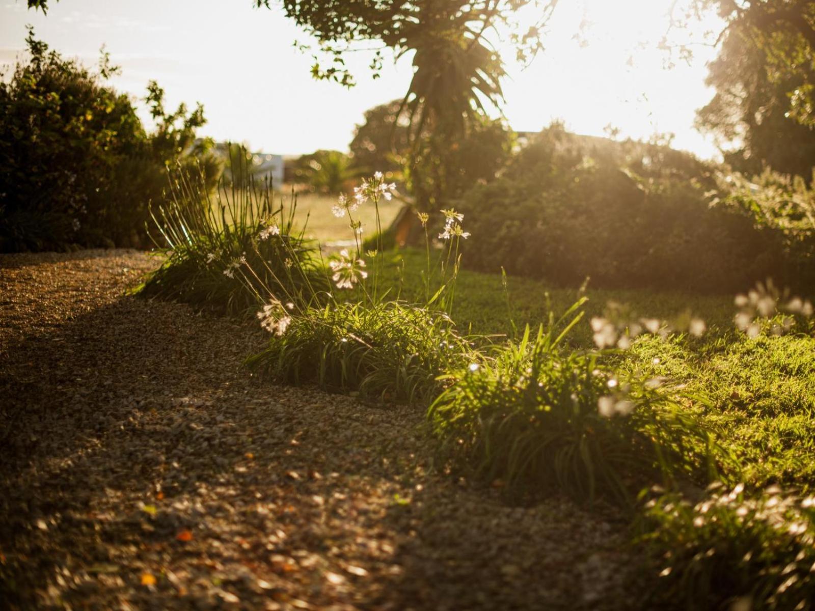 Springfontein Wine Estate Hotel Stanford Exterior photo