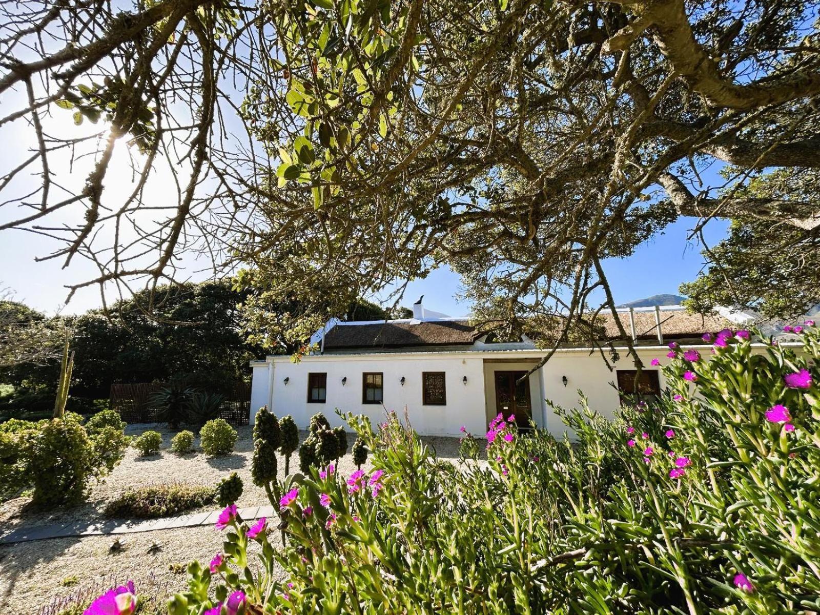Springfontein Wine Estate Hotel Stanford Exterior photo